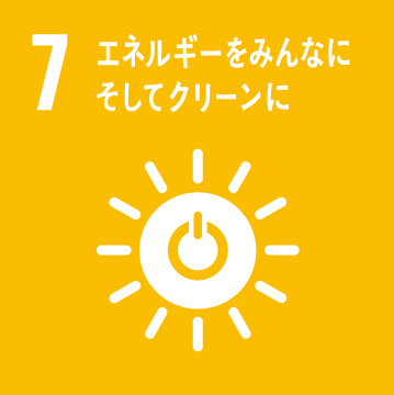 SDGs icon 12