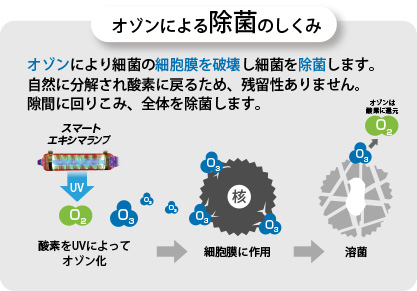 エアービーナスミニ有人用（ARV-O3MI）：オゾン発生器 - 株式会社 ...